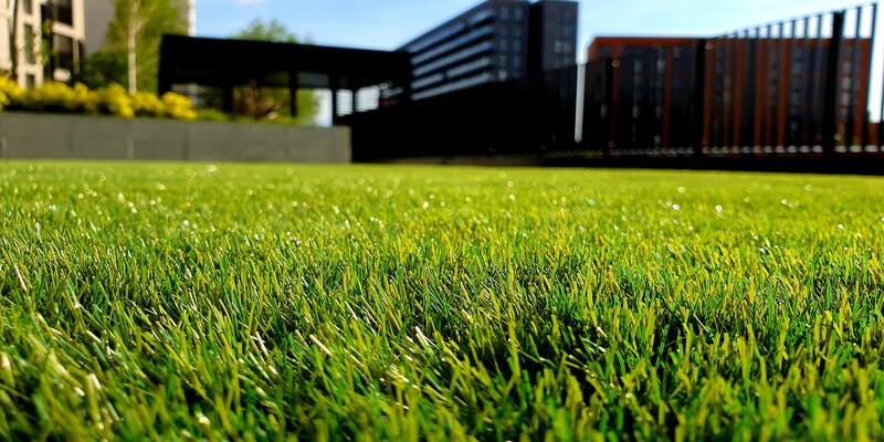 Fresh green lawn outside a residential property